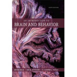 An Introduction to Brain and Behavior 6ed